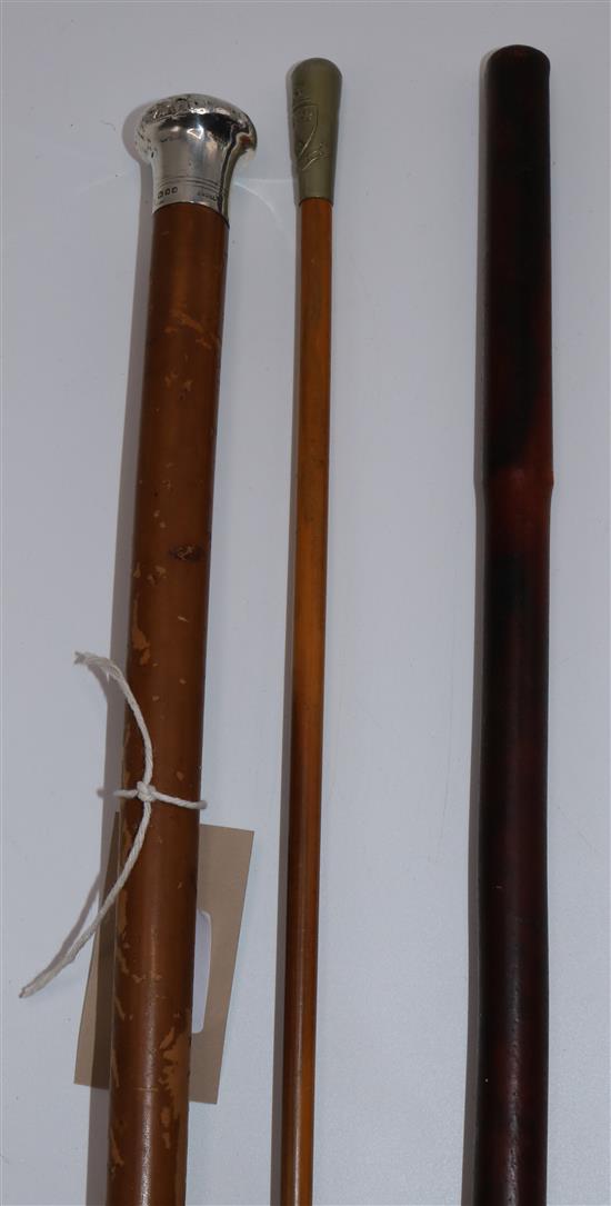 3 Military canes & sticks